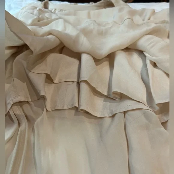 NWT ANTHROPOLOGIE Long Sleeve Sheer Pleated Maxi Dress Neutral‎ XS-M - Picture 14 of 16